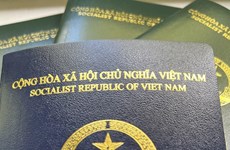 Вьетнам активно обсуждает с немецкой стороной в связи с проблемой с паспортом нового образца