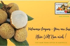 10 тонн вьетнамского лонгана экспортированы в Австралию