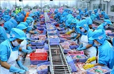 Для вьетнамского экспорта в ЕС остается достаточно возможностей