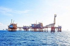 PetroVietnam внедряет меры по созданию условий для энергетического  перехода