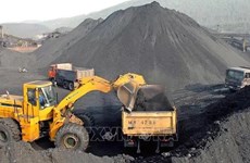 Вьетнам увеличит импорт угля в период 2025-2035 гг.