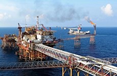 Эксперт поддержал предложение об инвестировании в нефтеперерабатывающий комплекс в Бариа-Вунгтау