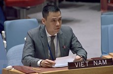 Вьетнам предлагает ПРООН проявить творческий подход к мобилизации ресурсов для развития