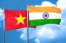 Вьетнам и Индия проводили диалог по вопросам безопасности в Нью-Дели