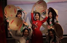 Неделя культуры Вьетнама 2022 года проходит в Венгрии