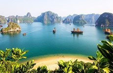 Вьетнам входит в десятку самых популярных направлений для австралийцев