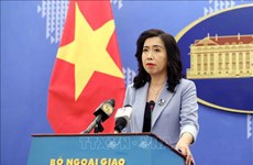 МИД: Последовательная политика Вьетнама заключается в защите основных прав человека
