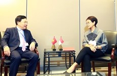 Заместитель премьер-министра встретился с иностранными официальными лицами, чтобы продвигать связи Вьетнама с партнерами