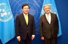 ООН поддерживает приоритеты развития Вьетнама