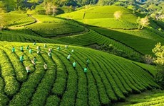 План действий по «зеленому» росту в сельском хозяйстве
