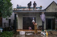 ЮНИСЕФ обещает поддержать Вьетнам устранять последствия тайфуна «Нору»