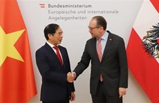 Министр иностранных дел Буй Тхань Шон находится с официальным визитом в Австрии