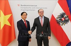 Австрийские СМИ освещают визит министра иностранных дел Вьетнама