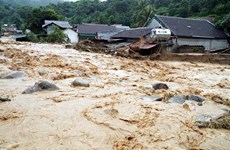 Наводнение унесло жизни 8 человек в Нгеане и Хатине