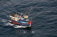 Тайская газета: Вьетнам прилагает больше усилий для искоренения незаконного рыболовства