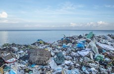 Укрепить международное сотрудничество в целях сокращения морских отходов