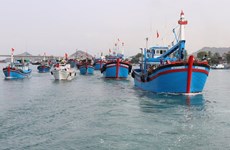 Куангнгай инвестирует в инфраструктуру морского порта