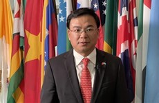 Руководитель МИД: Подтверждение позиции и усилий Вьетнама по поощрению прав человека