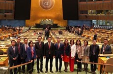 Посол Данг Хоанг Жанг: Вьетнам был избран в Совет по правам человека благодаря доверию международного сообщества