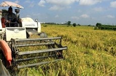 Вьетнам и АСЕАН привержены сокращению бедности и защите продовольственной безопасности