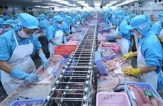 Экспорт пангасиуса на рынок АСЕАН превысит уровень экспорта на рынок ЕС