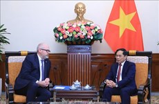 Министр иностранных дел Буй Тхань Шон принял сенатора, со-министра торговли и производства Австралии
