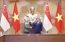 Председатель НC Выонг Динь Хюэ имел встречу с президентом Сингапура