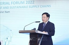 Министерский форум стран Юго-Восточной Азии ОЭСР 2022 открывается в Ханое