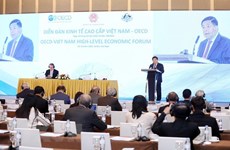 Укрепление обязательств перед Вьетнамом является одним из главных приоритетов ОЭСР