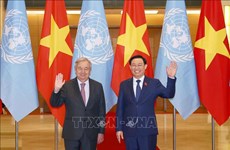 Председатель Национального собрания Выонг Динь Хюэ имел встречу с Генеральным секретарем ООН