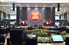 Вьетнам подчеркивает важность целостности АСЕАН