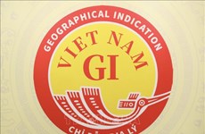 Обнародована эмблема географического указания Вьетнама