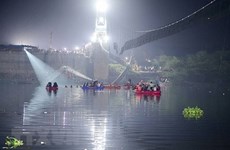 Соболезнования в связи с обрушением моста в Индии, в результате которого погибло много людей