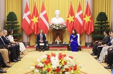 Вице-президент Во Тхи Ань Суан имела встречу с Кронпринцем Дании
