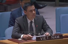 Вьетнам готов сотрудничать с государствами-членами ООН в миротворческой деятельности