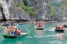 Во Вьетнаме наблюдается значительный рост числа индийских туристов