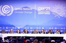 COP27: Вьетнам подчеркнул роль преобразования энергии в борьбе с изменением климата