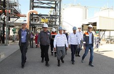 PetroVietnam ведет переговоры с Алжиром о 2-й фазе совместного нефтегазового предприятия