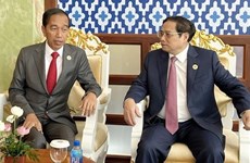 Премьер-министр Фам Минь Тьинь встретился с президентом Индонезии в Пномпене