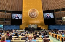 Генассамблея ООН: Вьетнам призывает к прекращению конфликта на Украине