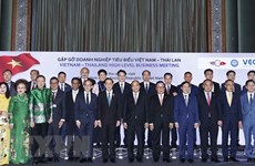 Президент провел встречу с представителями предприятий Вьетнама и Таиланда