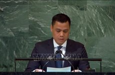Вьетнам призывает к реформе Совета Безопасности ООН