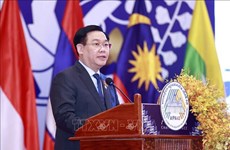 Председатель НC Выонг Динь Хюэ внес 5 предложений на пленарном заседании AIPA-43