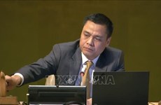 Консенсусом принята резолюция о сотрудничестве ООН-АСЕАН