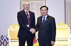 Председатель НС Выонг Динь Хюэ встретился с руководителями парламентов стран