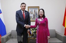 18-й Саммит Франкофонии: вице-президент Во Тхи Ань Суан совершила ряд встреч на высоком уровне
