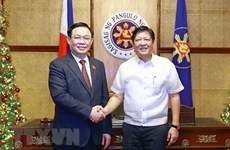Председатель НC Выонг Динь Хюэ встретился с президентом Филиппин