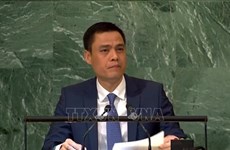 Вьетнам призывает АСЕАН усилить координацию в ООН
