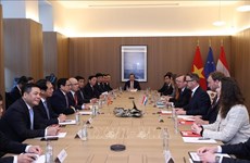 Премьер-министр Фам Минь Тьинь провел переговоры с премьер-министром Люксембурга Ксавье Беттелем