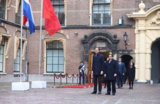 Официальная церемония встречи премьер-министра Фам Минь Тьиня в Королевстве Нидерландов